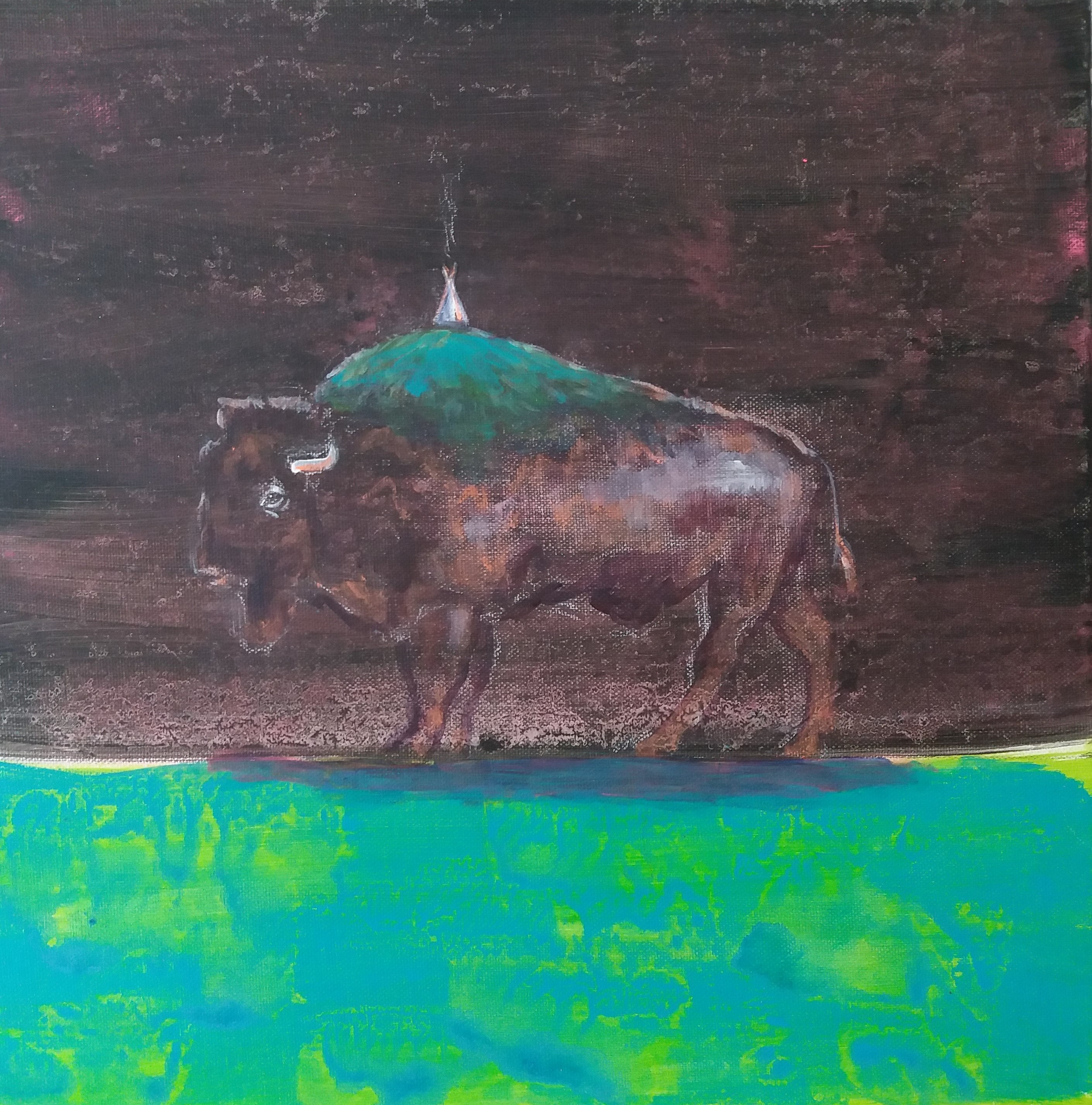 bizon, 40x40cm