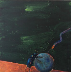 hovnivál, 40x40cm