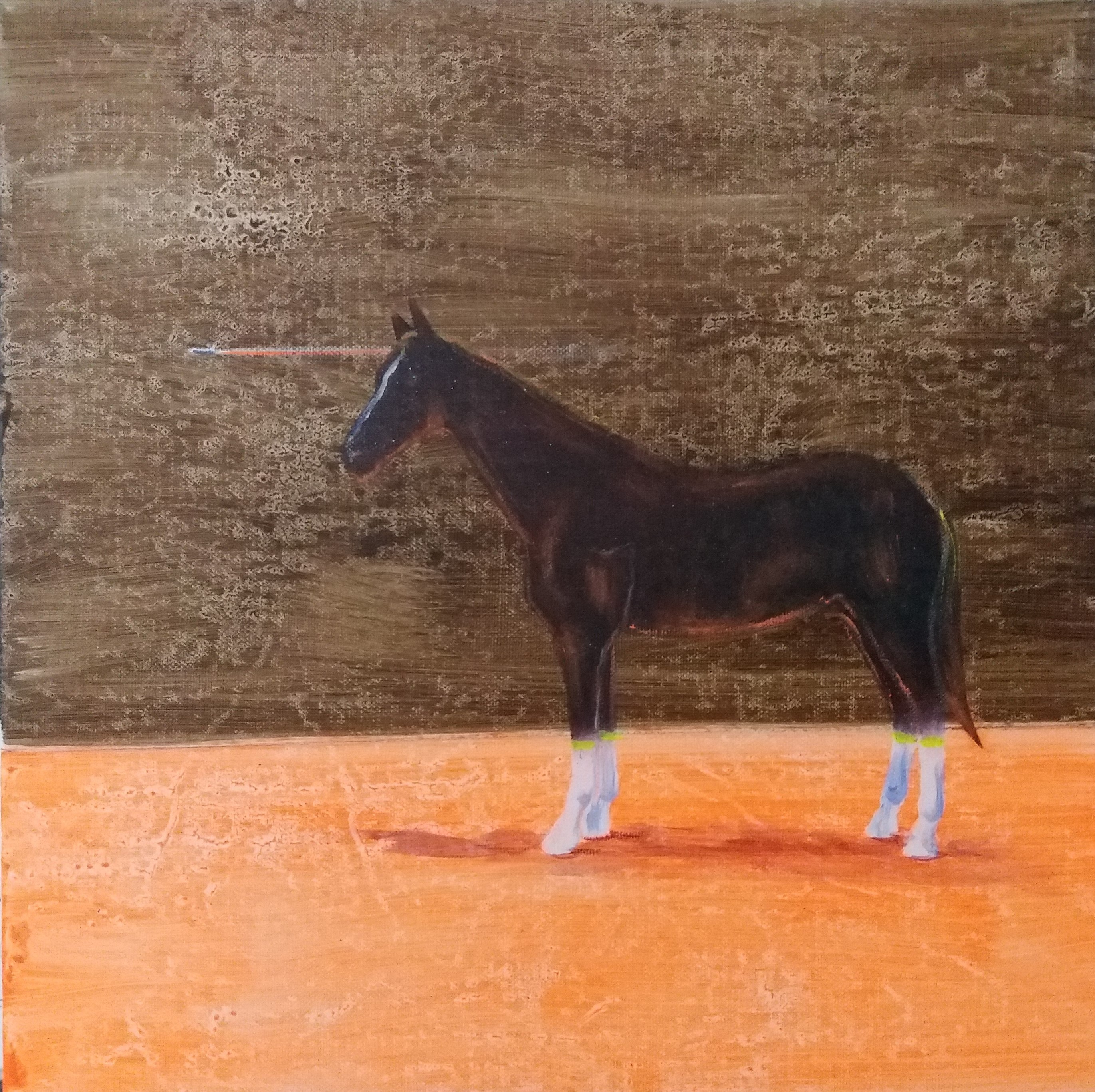 jednorožec, 40x40cm