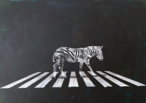 zebra, 50x70cm