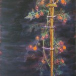 rajčata, 50x70cm